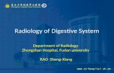 Radiology of Digestive System