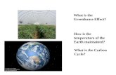 What is the  Greenhouse Effect?