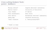 Cross-cutting Analysis Tools:  panel members