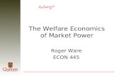 The Welfare Economics of Market Power