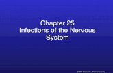 Chapter 25 Infections of the Nervous System
