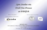 Spin  Studies  via Drell-Yan Process at  PANDA