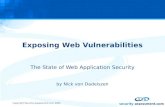 Exposing Web Vulnerabilities