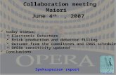Collaboration meeting Maiori  June 4 th   , 2007