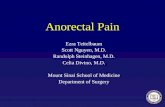 Anorectal Pain