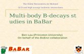 Multi-body B-decays studies in BaBar