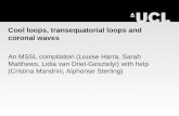 Cool loops, transequatorial loops and coronal waves