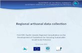 Regional artisanal data  collection
