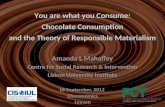 You are what you Consume: Chocolate Consumption and the Theory of Responsible Materialism
