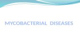 MYCOBACTERIAL  DISEASES
