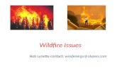 Wildfire Issues