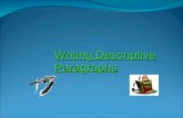 Writing Descriptive Paragraphs