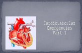 Cardiovascular  Emergencies Part 1