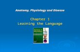 Anatomy, Physiology and Disease
