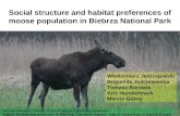 Social structure and habitat preferences of moose population in Biebrza National Park