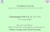 Carbon Cycle Adapted in part from lectures by Dr. Gerardo Chin-Leo, TESC