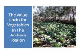 The value chain for Vegetables in The Amhara Region