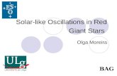 Solar-like Oscillations in Red Giant Stars