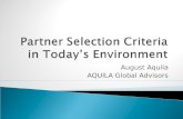 Partner Selection Criteria in Today’s Environment