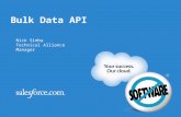 Bulk Data API