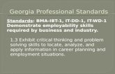 Georgia Professional Standards