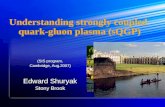 Understanding strongly coupled  quark-gluon plasma (sQGP)