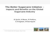 The Better Sugarcane Initiative –  Impacts and Benefits on the Global Sugarcane Industry