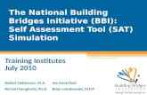 The National Building Bridges Initiative (BBI):   Self Assessment Tool (SAT) Simulation