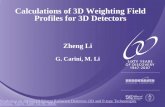 Calculations of 3D Weighting Field Profiles for 3D Detectors