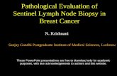 Pathological Evaluation of Sentinel Lymph Node Biopsy in Breast Cancer