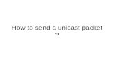 How to send a unicast packet?