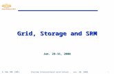 Grid, Storage and SRM Jan. 29-31, 2008