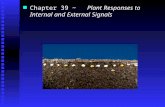 Chapter 39 ~   Plant Responses to Internal and External Signals