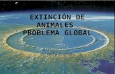 Extinción de animales  Problema Global