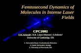 Femtosecond Dynamics of Molecules in Intense Laser Fields