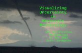 Visualizing Uncertainty in Mesoscale Meteorology