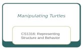 Manipulating Turtles