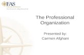 The Professional Organization