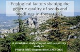 Ecological factors shaping the genetic quality of seeds and seedlings in forest trees.