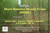 WP23: Short Rotation Woody Crops (SRWC)