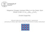 Zurab Guguchia Physik-Institut der Universität  Zürich, Switzerland