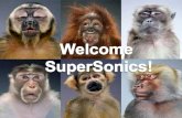 Welcome  SuperSonics !