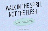 WALK IN THE SPIRIT,  NOT THE FLESH !