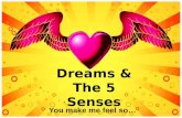 Dreams & The 5 Senses