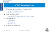 CMB Polarization
