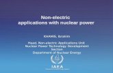 Non-electric  applications with nuclear power