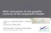 WG4: Discussion on the possible contents of the hospital/PH ToolKit