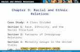 Chapter 9: Racial and Ethnic Relations Case Study: A Class Divided