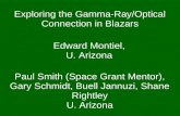 Exploring the Gamma-Ray/Optical Connection in Blazars