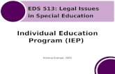 Individual Education Program (IEP)